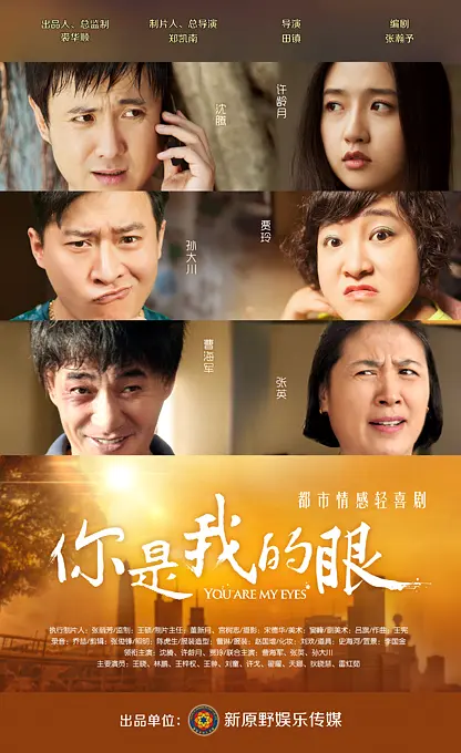 你是我的眼2015