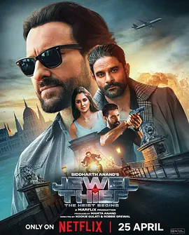 珠宝大盗：神偷出马2025